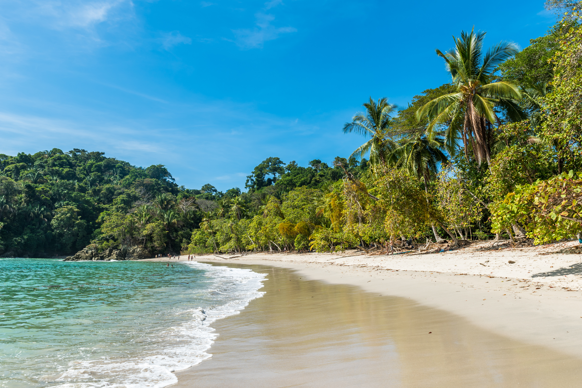 156 manuel antonio national park.webp